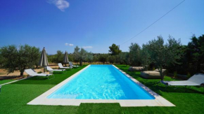 Olive Grove Rock Villa
